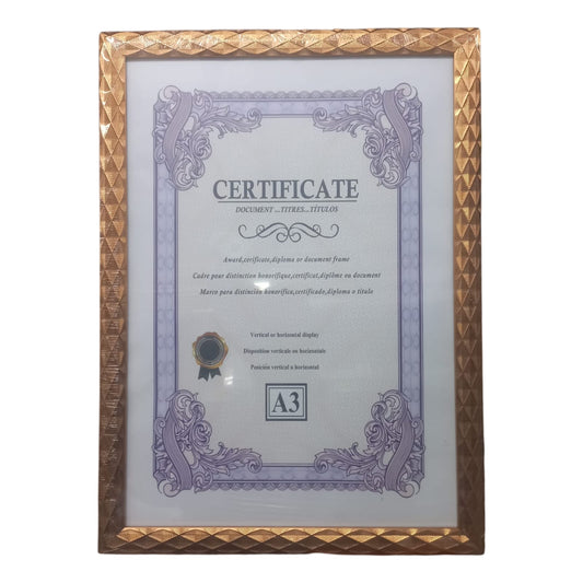 Frame (A3) + Photo Print